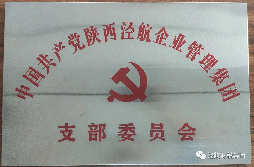 祝贺中共陕西泾航集团支部委员会正式成立(图3)